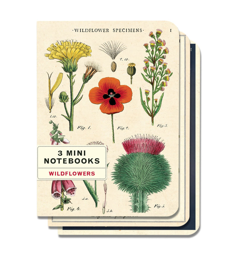 Cavallini - Set of 3 Mini Notebooks - Wildflowers