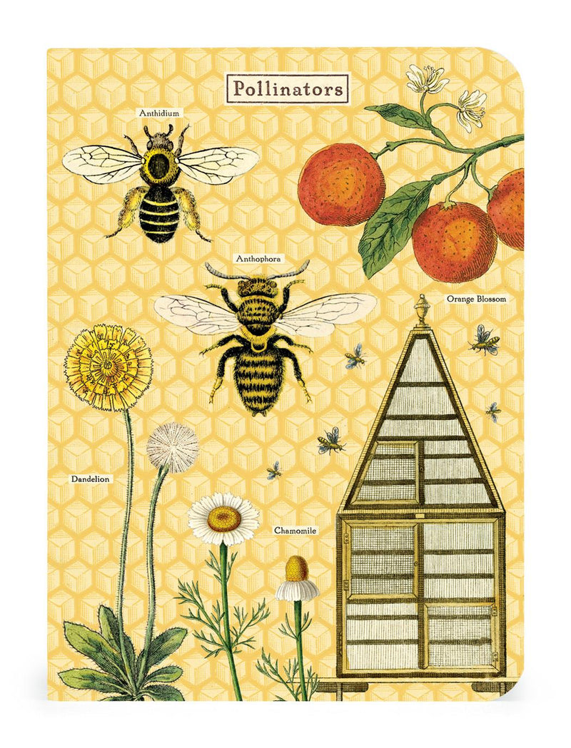Cavallini - Set of 3 Mini Notebooks - Honey Bees - Lined, Blank & Graph Interiors