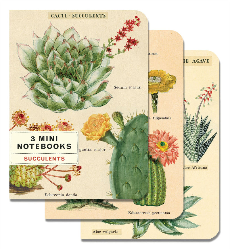 Cavallini - Set of 3 Mini Notebooks - Succulents/Cacti - Lined, Blank & Graph Interiors