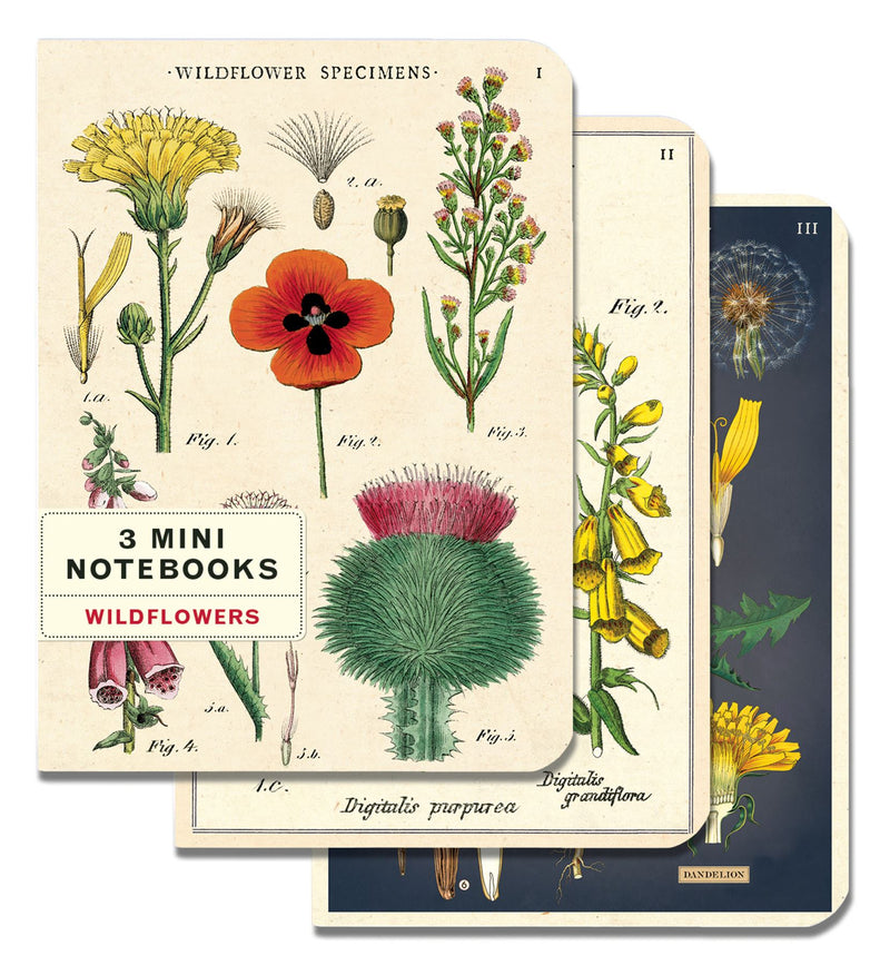 Cavallini - Set of 3 Mini Notebooks - Wildflowers