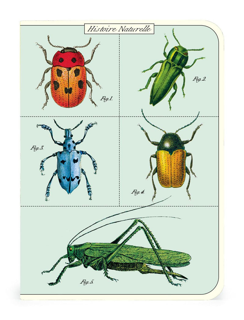 Cavallini - Set of 3 Mini Notebooks - Bugs & Insects - Lined, Blank & Graph Interiors