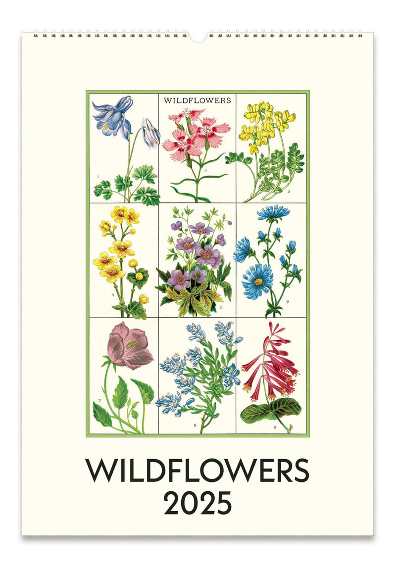 Cavallini - 2025 Wall Calendar - 13 x 19ins - Wildflowers