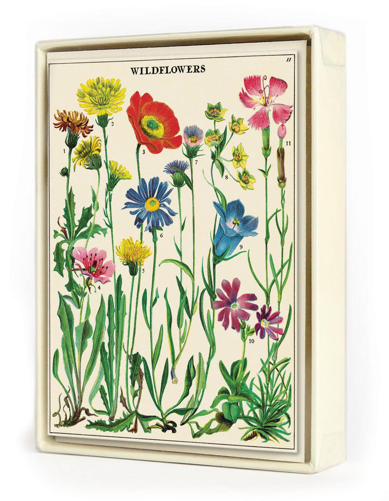 Cavallini - 8 Assorted Notecards - 4 Designs/2 Per Design - Wildflowers