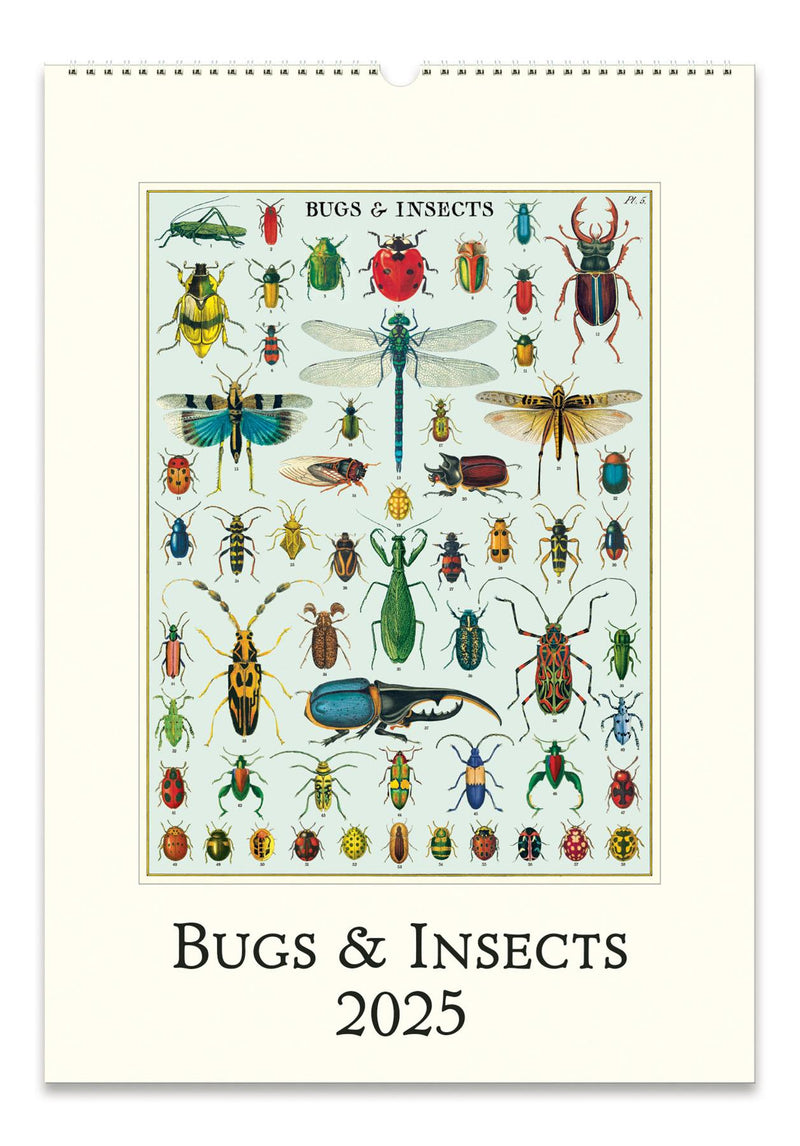 Cavallini - 2025 Wall Calendar - 13 x 19ins - Bugs & Insects