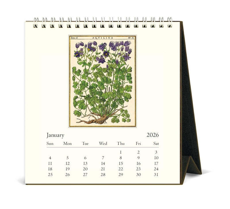 Cavallini - 2026 Desk Calendar - 6 x 6.5ins - Herbarium