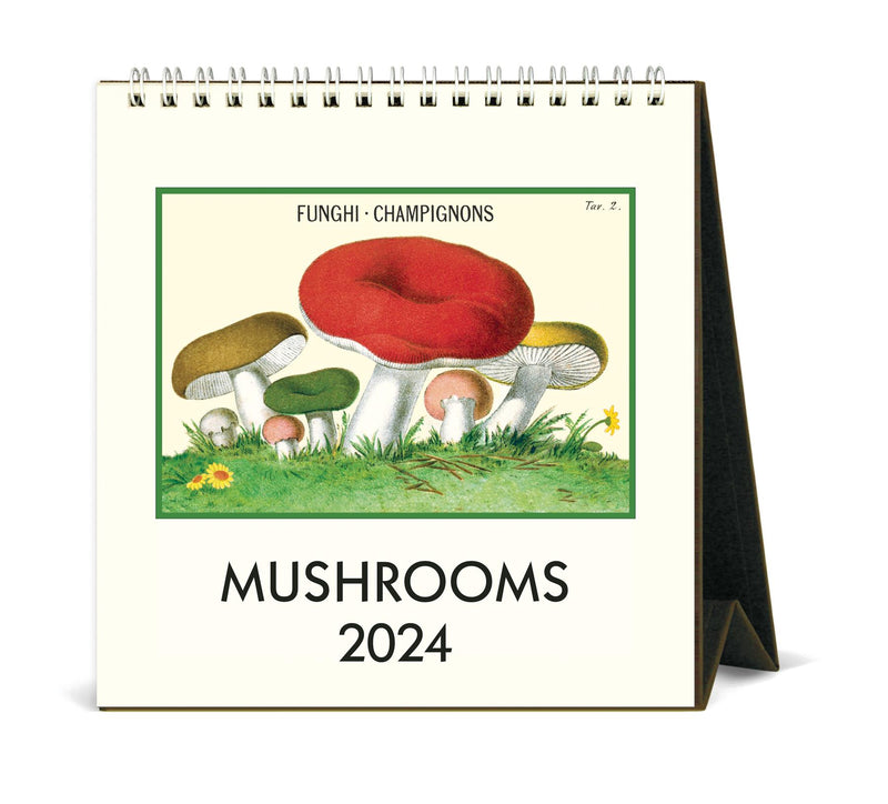 Cavallini - 2024 Desk Calendar - 6 x 6.5ins - Mushrooms/Fungi/Champignons