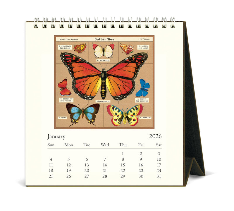 Cavallini - 2026 Desk Calendar - 6 x 6.5ins - Butterflies/Les Papillons