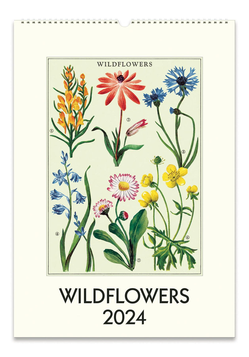 Cavallini - 2024 Wall Calendar - 13 x 19ins - Wildflowers