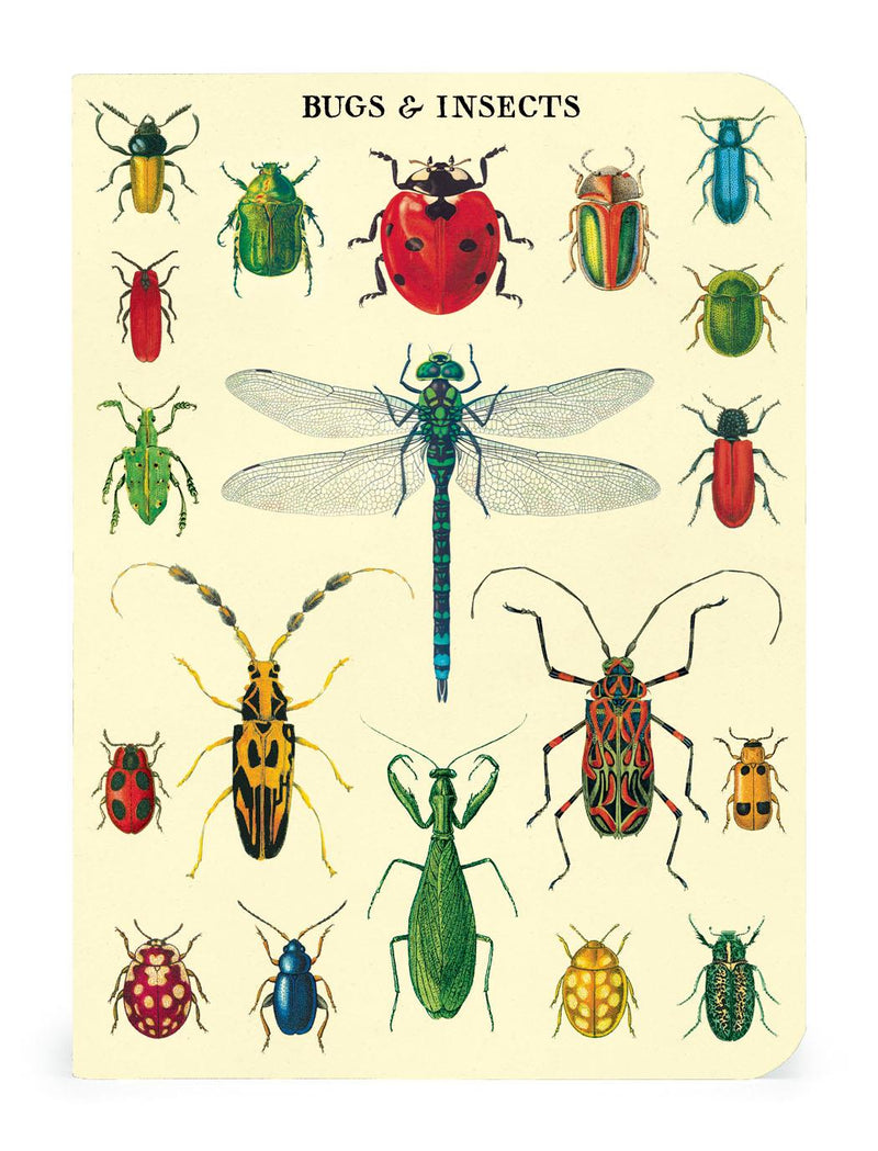 Cavallini - Set of 3 Mini Notebooks - Bugs & Insects - Lined, Blank & Graph Interiors