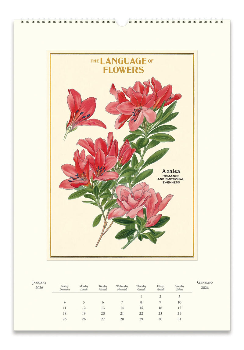 Cavallini - 2026 Wall Calendar - 13 x 19ins - Language of Flowers