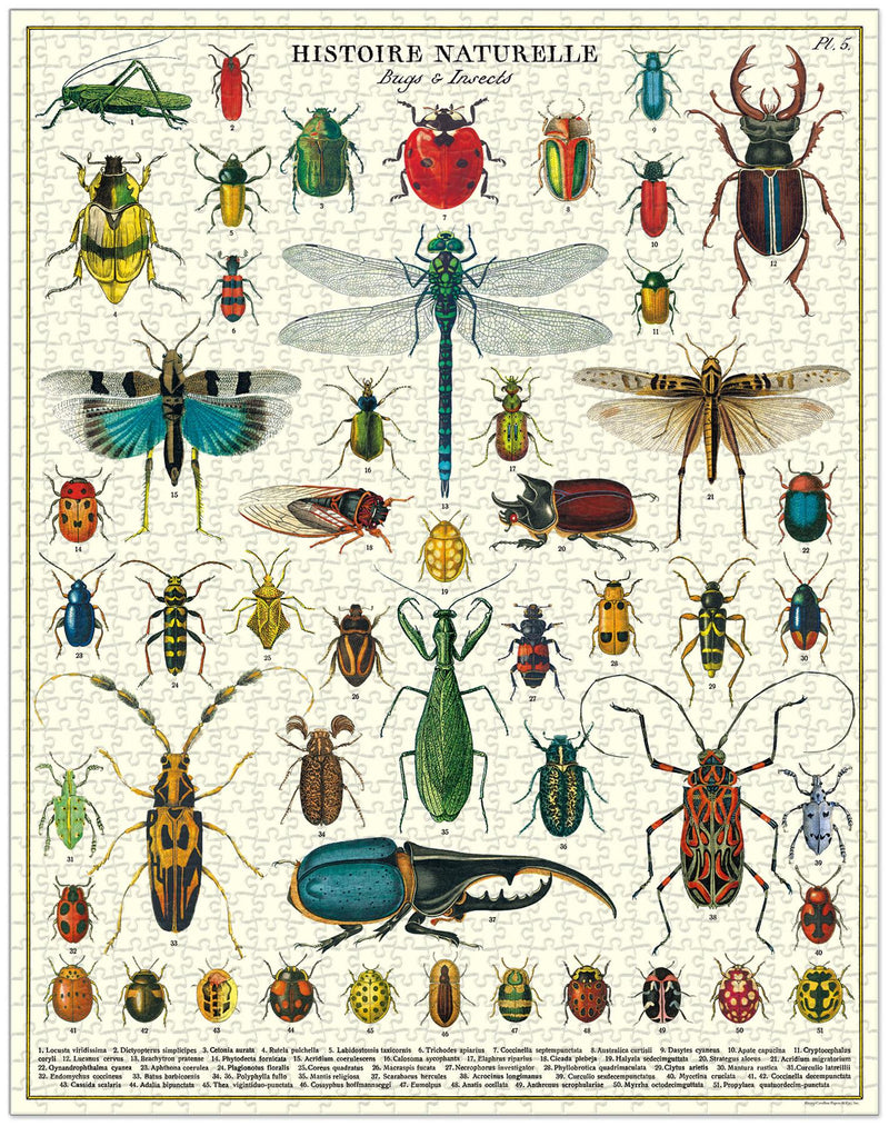 Cavallini - Vintage Jigsaw Puzzle - 1000 Pieces - 55x70cms - Bugs & Insects/Histoire Naturelle