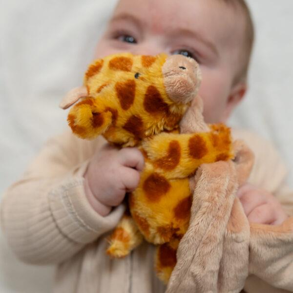 Giraffe Velour Plush Comforter Blanket - Peach & Orange - Suitable From Birth - Ziggle