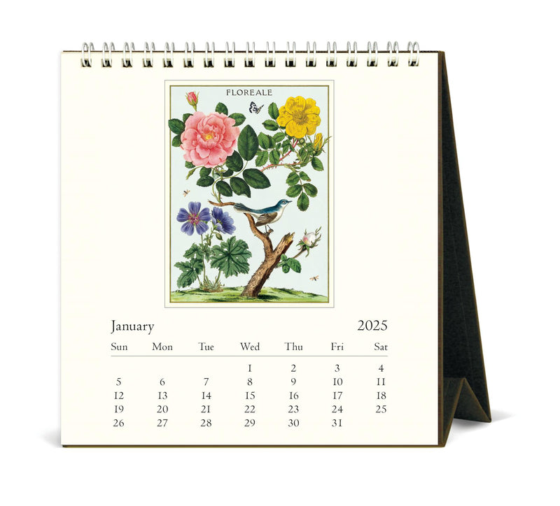 Cavallini - 2025 Desk Calendar - 6 x 6.5ins - Floreale