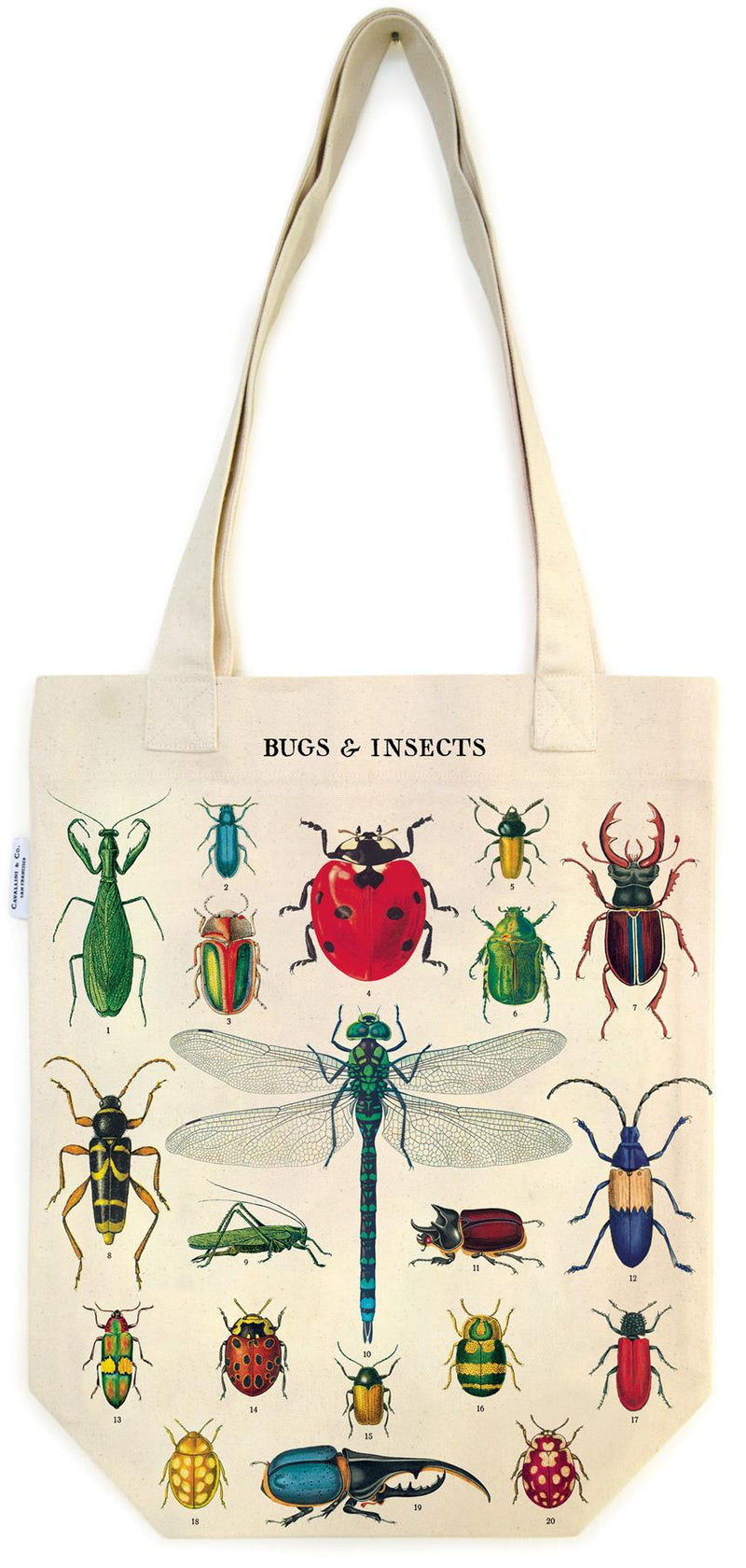 Cavallini - 100% Natural Cotton Vintage Tote Bag - 33x40.5cms - Bugs & Insects