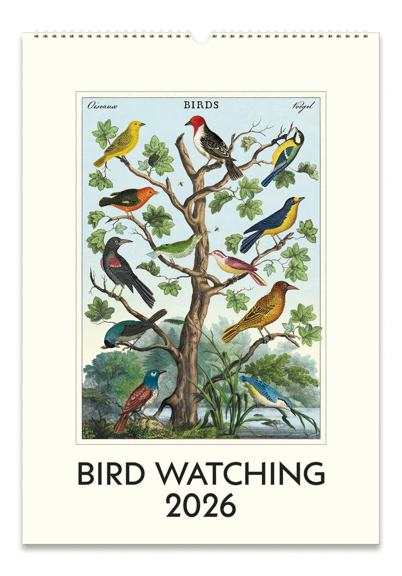 Cavallini - 2026 Wall Calendar - 13 x 19ins - Bird Watching/Ornithology