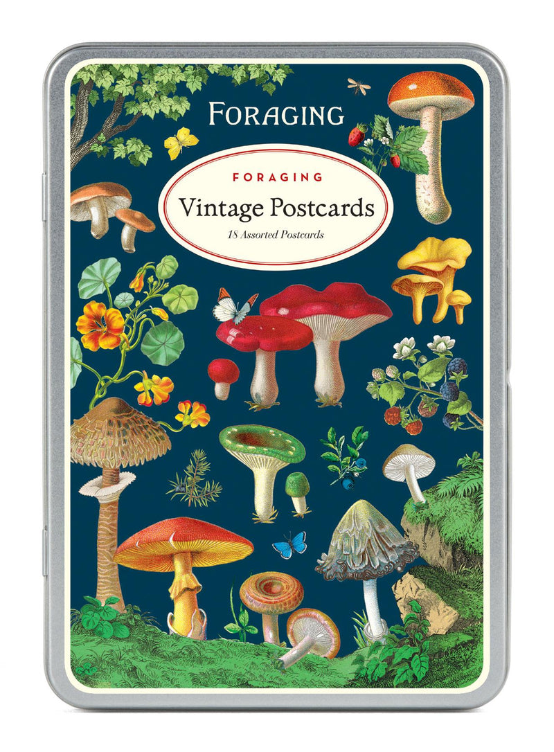 Cavallini - Carte Postale - Foraging - Tin of 18 Vintage Postcards - 9 Designs/2 Per Design