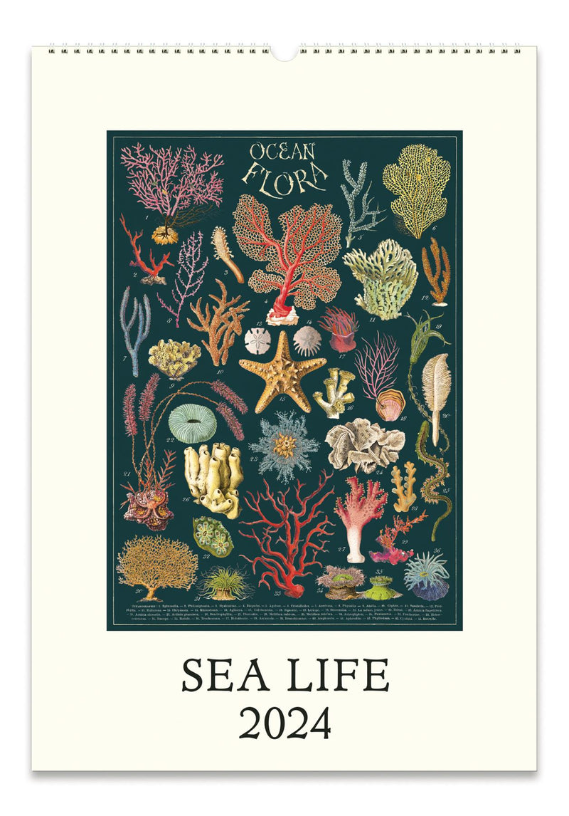 Cavallini 2024 Wall Calendar 13 x 19ins Sea Life/Ocean Flora