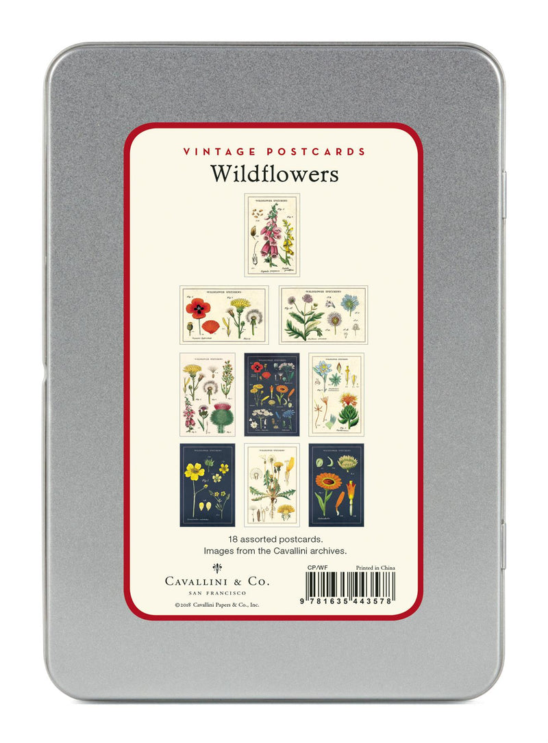 Cavallini - Carte Postale - Wildflowers - Tin of 18 Vintage Postcards - 9 Designs/2 Per Design