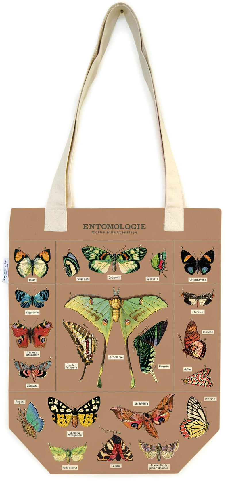 Cavallini - 100% Natural Cotton Vintage Tote Bag - 33x40.5cms - Entomology/Moths & Butterflies