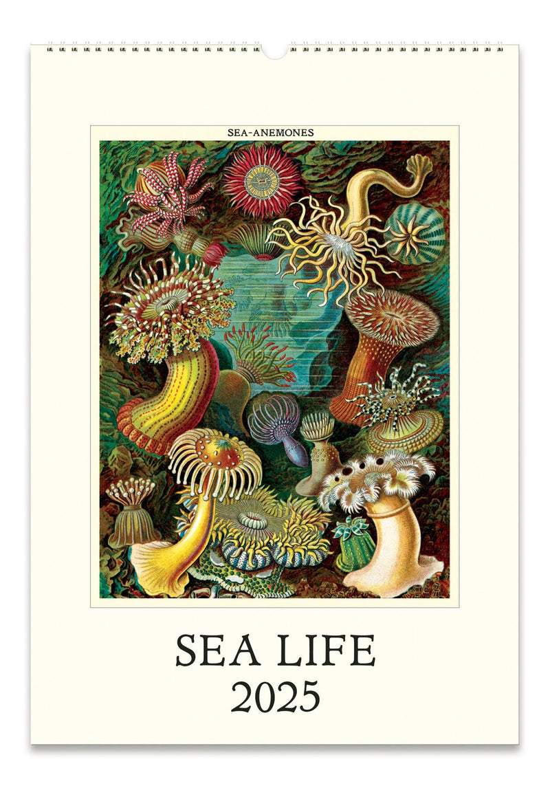 Cavallini - 2025 Wall Calendar - 13 x 19ins - Sea Life/Ocean Flora