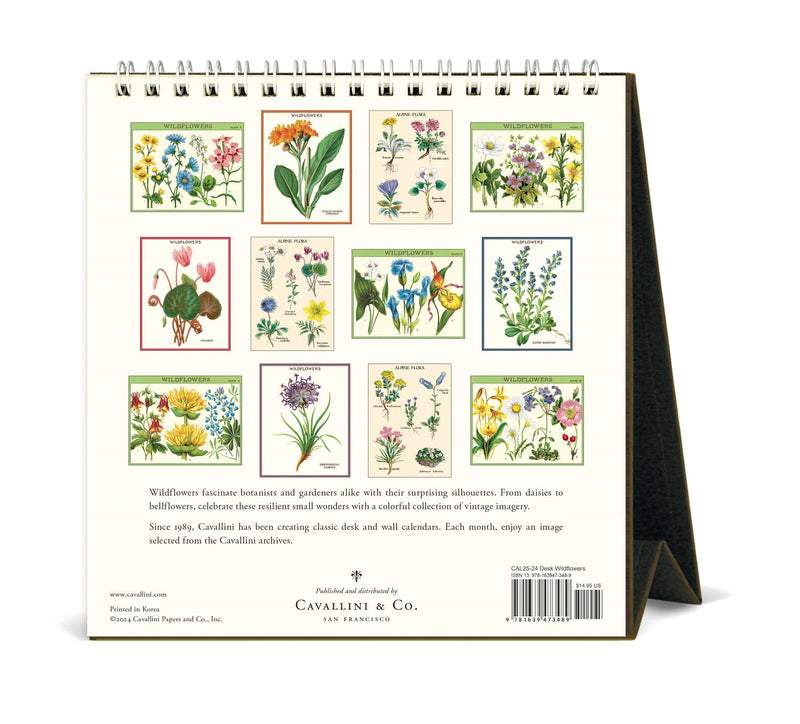 Cavallini - 2025 Desk Calendar - 6 x 6.5ins - Wildflowers