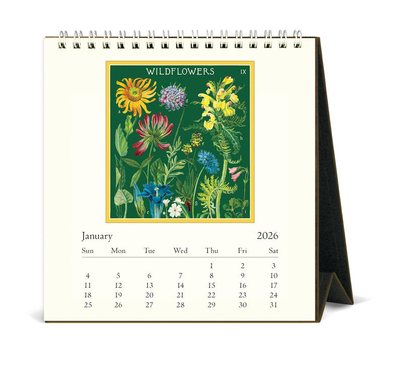 Cavallini - 2026 Desk Calendar - 6 x 6.5ins - Wildflowers