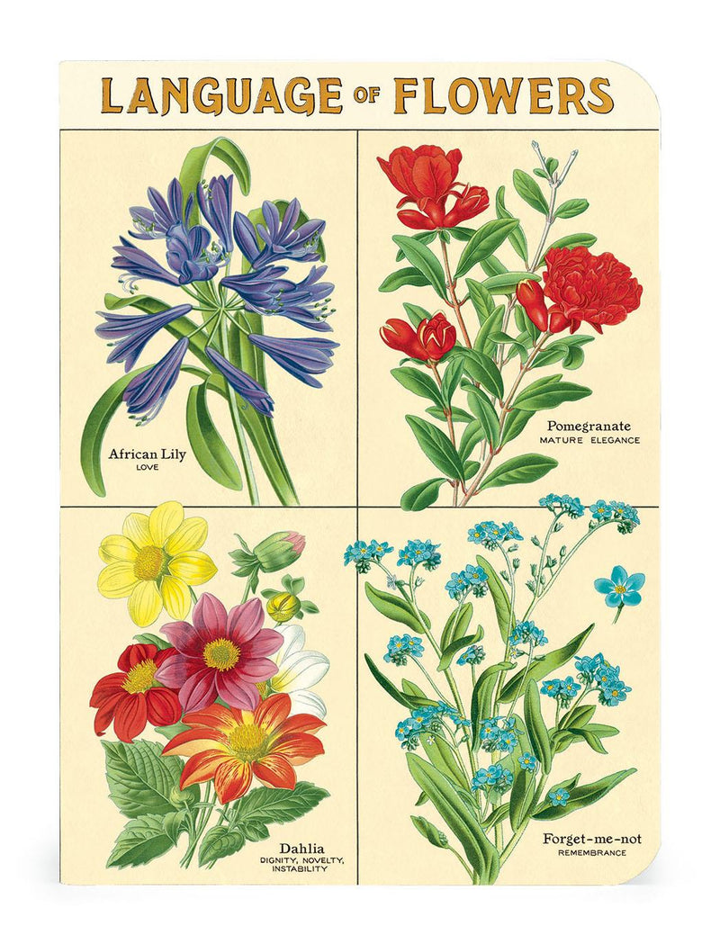 Cavallini - Set of 3 Mini Notebooks - Language of Flowers - Lined, Blank & Graph Interiors
