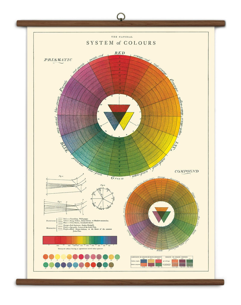 Cavallini - Vintage School Chart - Ready To Hang - 70 x 100cms - Colour Wheel/System of Colours