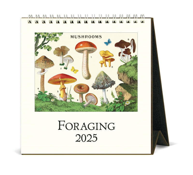 Cavallini - 2025 Desk Calendar - 6 x 6.5ins - Foraging Mushrooms & Plants