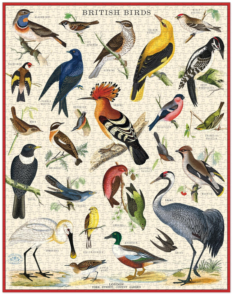 Cavallini - Vintage Jigsaw Puzzle - 1000 Pieces - 55x70cms - Briitsh Birds