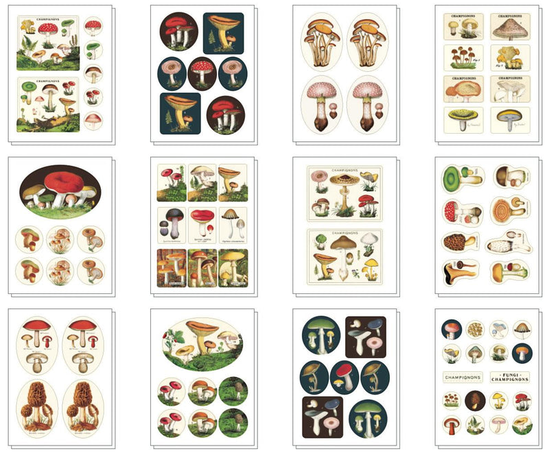 Cavallini - Tin of Decorative Stickers/Labels - Mushrooms/Champignons