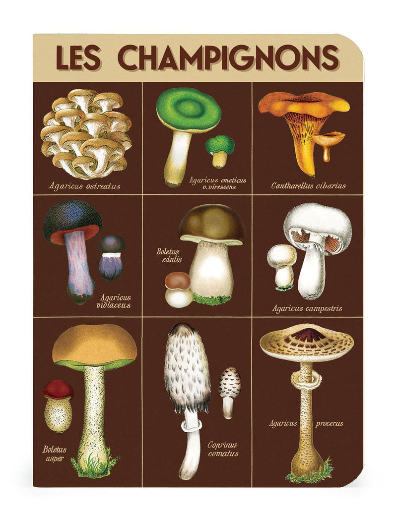 Cavallini - Set of 3 Mini Notebooks - Foraging Plants & Mushrooms - Lined, Blank & Graph Interiors