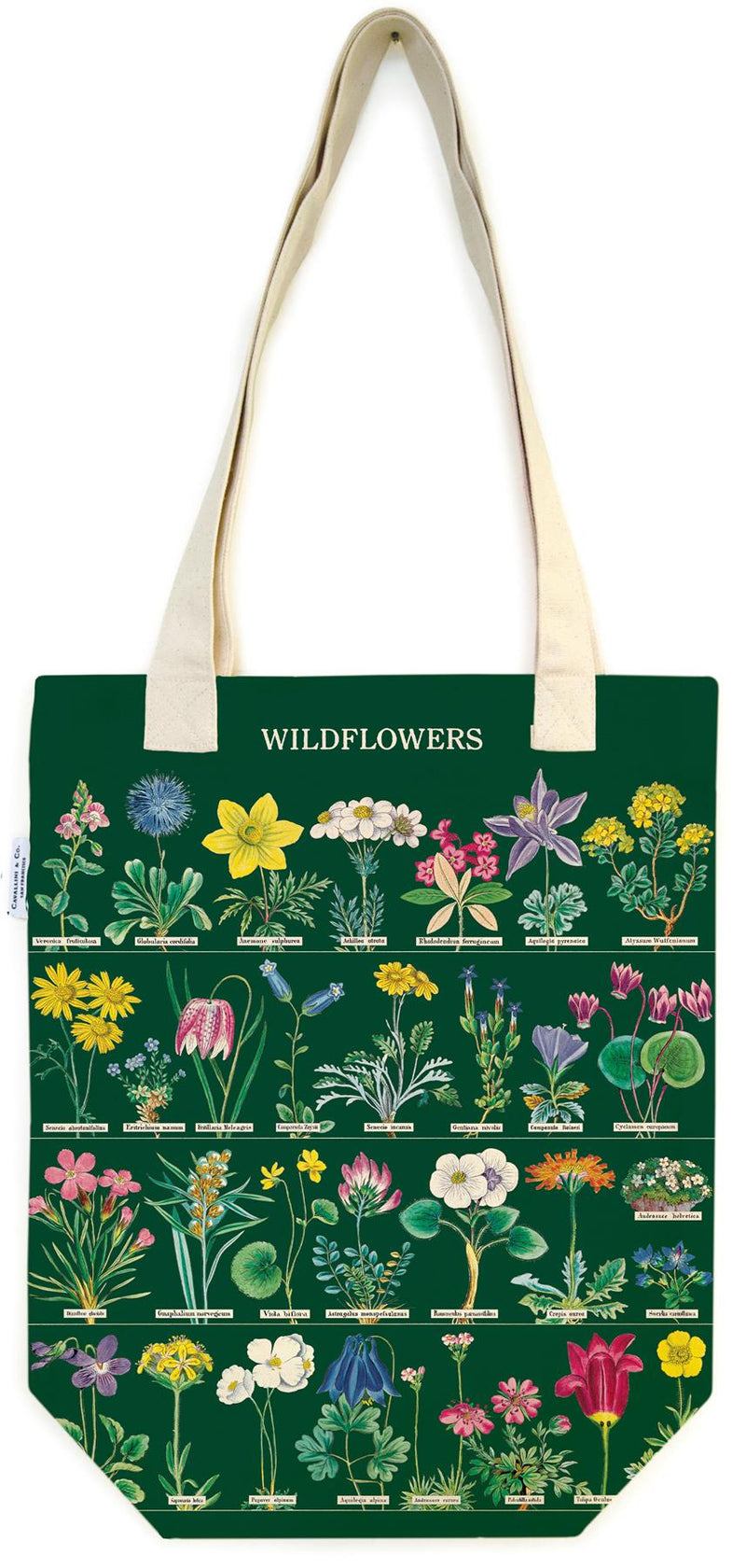 Cavallini - 100% Natural Cotton Vintage Tote Bag - 33x40.5cms - Wildflowers (Dark Green)