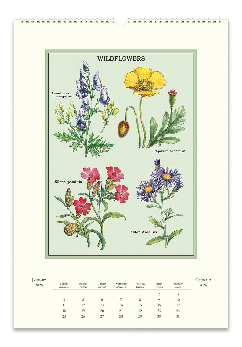 Cavallini - 2026 Wall Calendar - 13 x 19ins - Wildflowers