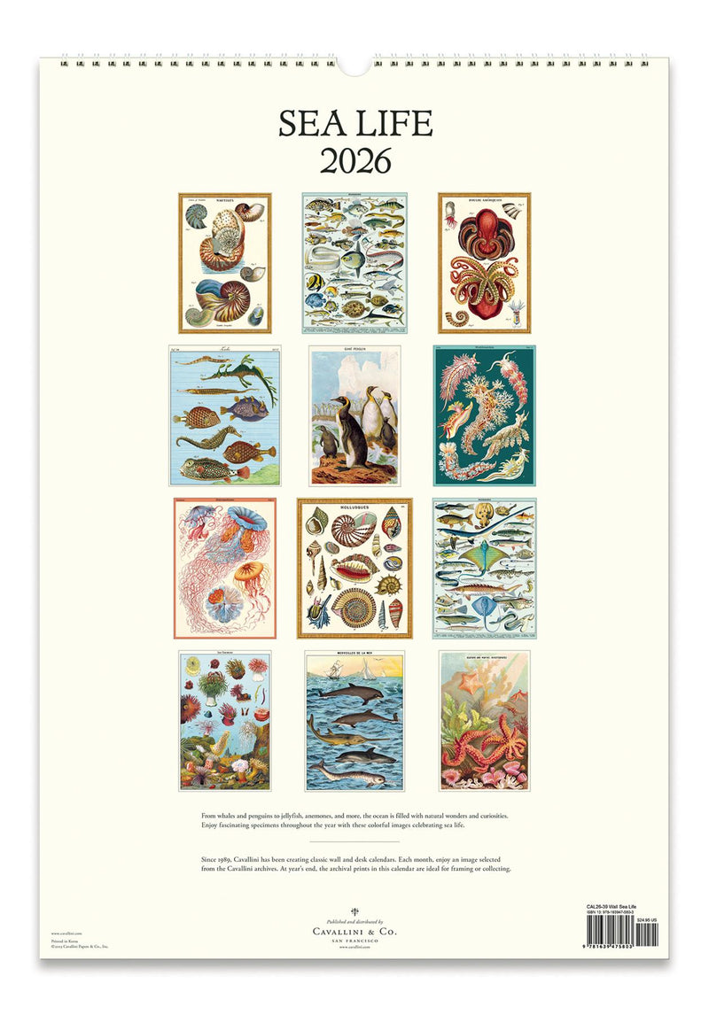 Cavallini - 2026 Wall Calendar - 13 x 19ins - Sea Life/Ocean Flora