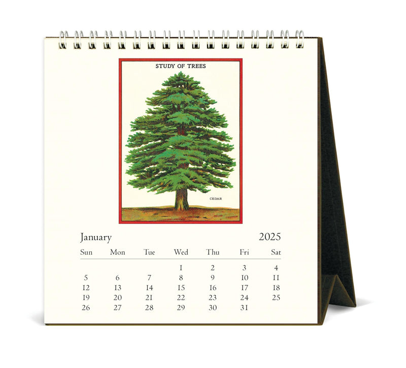 Cavallini - 2025 Desk Calendar - 6 x 6.5ins - Arboretum/Trees