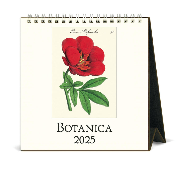 Cavallini - 2025 Desk Calendar - 6 x 6.5ins - Botanica/Peony