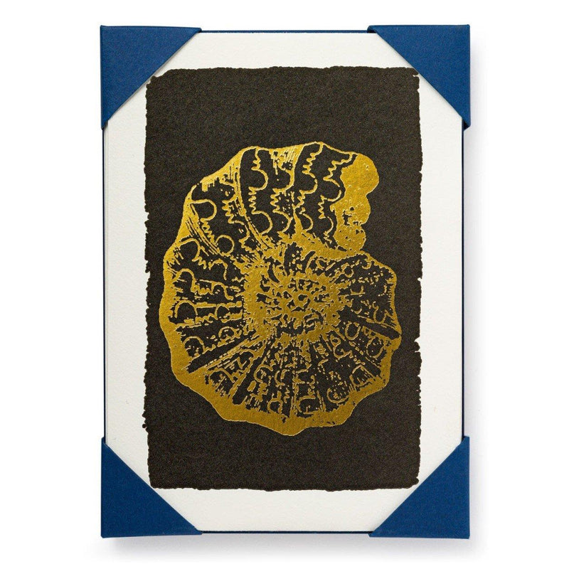 Ammonite - 5 Letterpress Notecards & Envelopes - Jason Faulkner