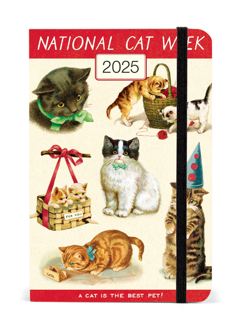 Cavallini 2025 Diary - Cats - 4x6ins - Week At A Glance Layout - Elastic Enclosure