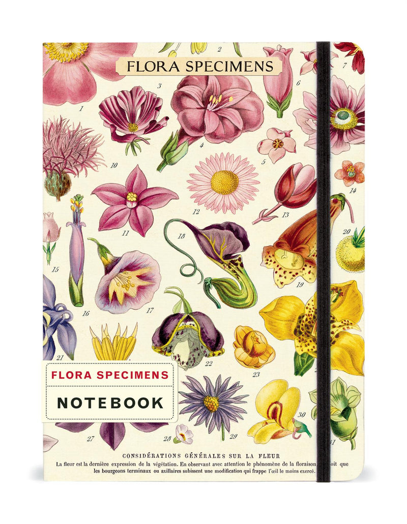 Cavallini - Large Lined Notebook 6x8ins - Vintage World Map - Flora Specimens - 144 Pages With Elastic Enclosure