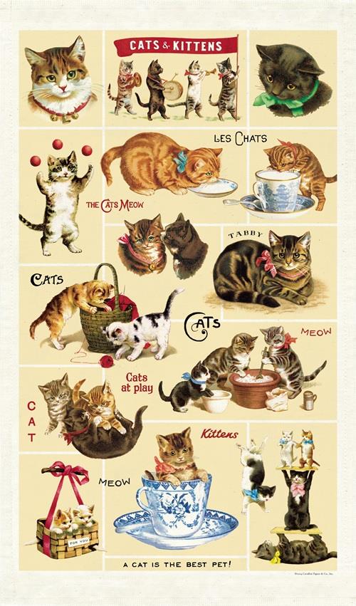 Cavallini - 100% Natural Cotton Vintage Tea Towel - 80 x 47cms - Cats & Kittens