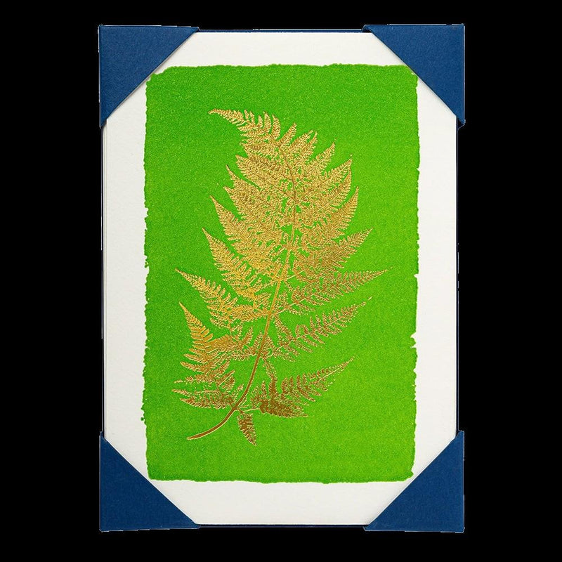 Green With Gold Foil Fern - 5 Letterpress Notecards & Envelopes - Archivist