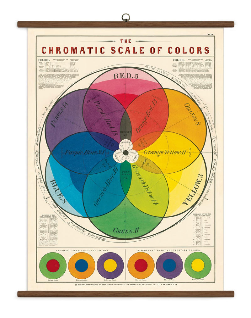 Cavallini - Vintage School Chart - Ready To Hang - 70 x 100cms - Chromatic Scale of Colours