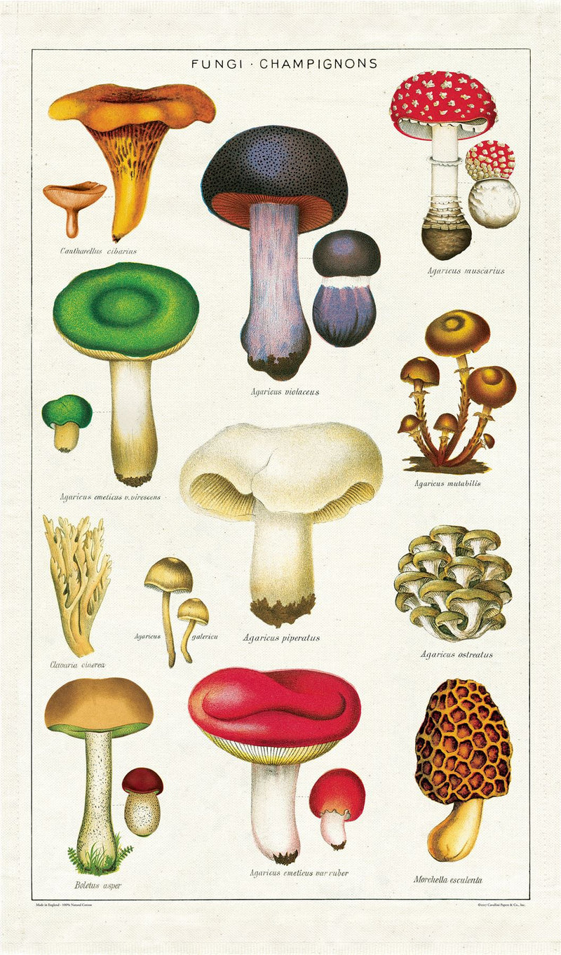 Cavallini - 100% Natural Cotton Vintage Tea Towel - 80 x 47cms - Mushrooms/Fungi/Champignons