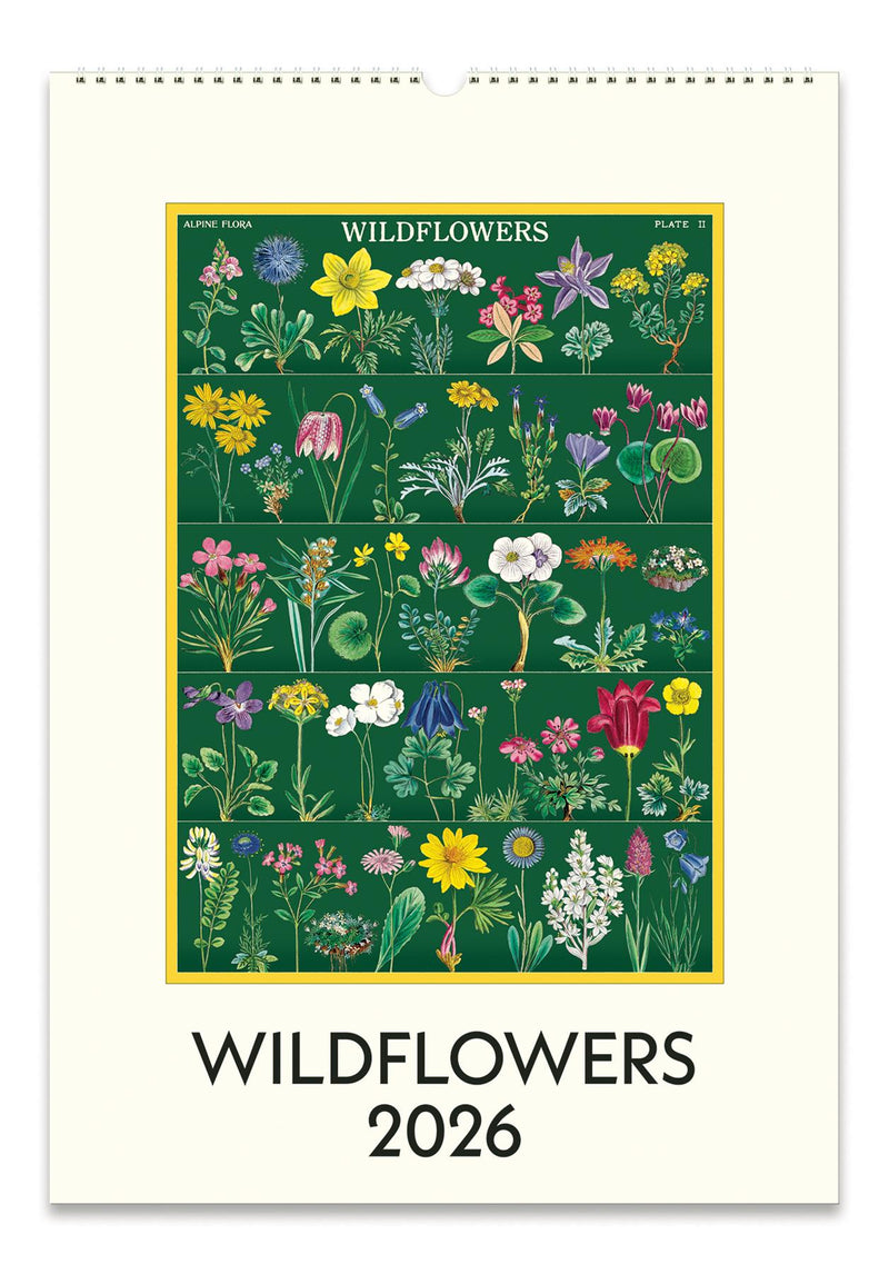 Cavallini - 2026 Wall Calendar - 13 x 19ins - Wildflowers