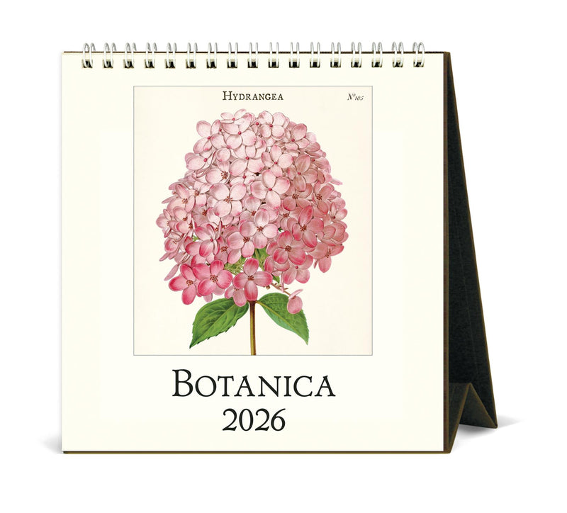 Cavallini - 2026 Desk Calendar - 6 x 6.5ins - Botanica/Peony