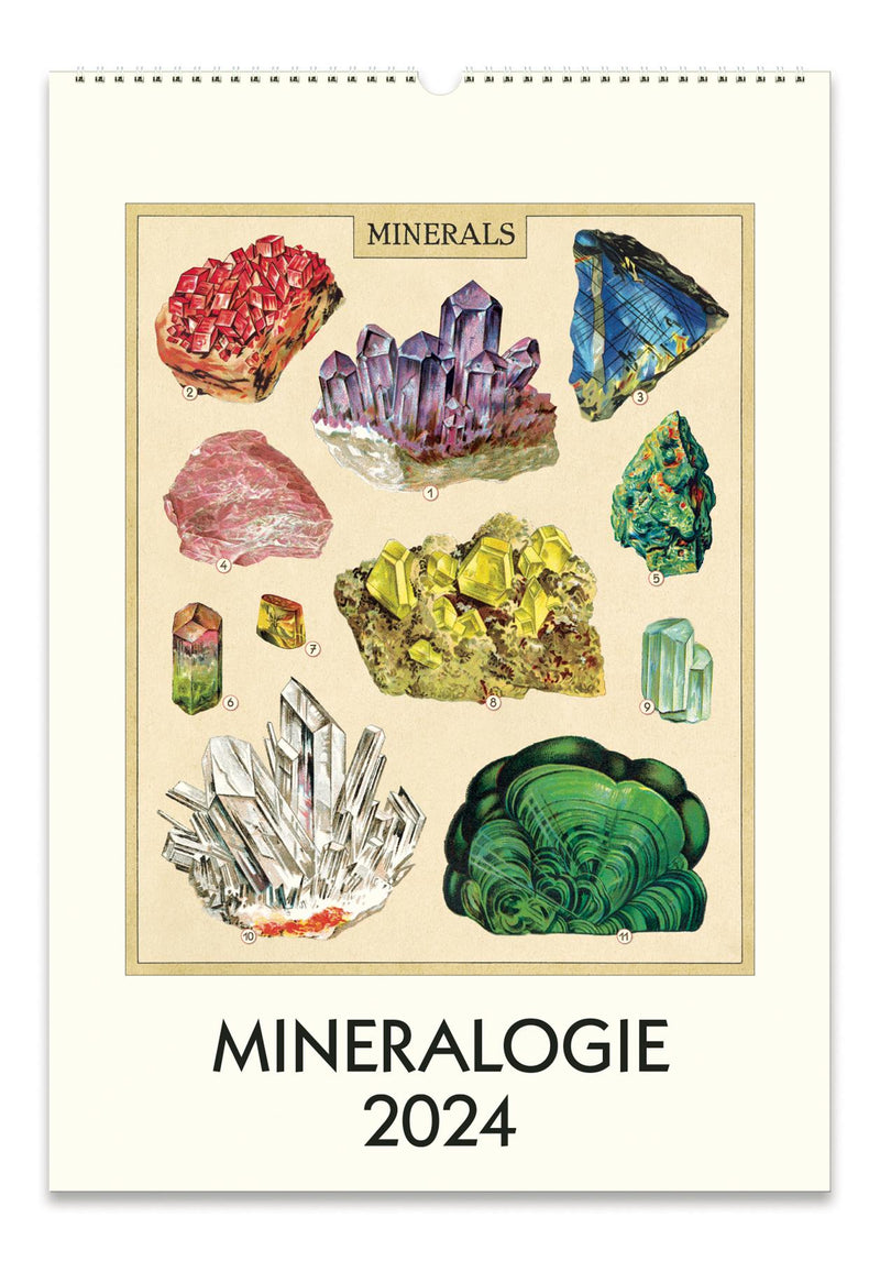 Cavallini - 2024 Wall Calendar - 13 x 19ins - Mineralogie/Minerals