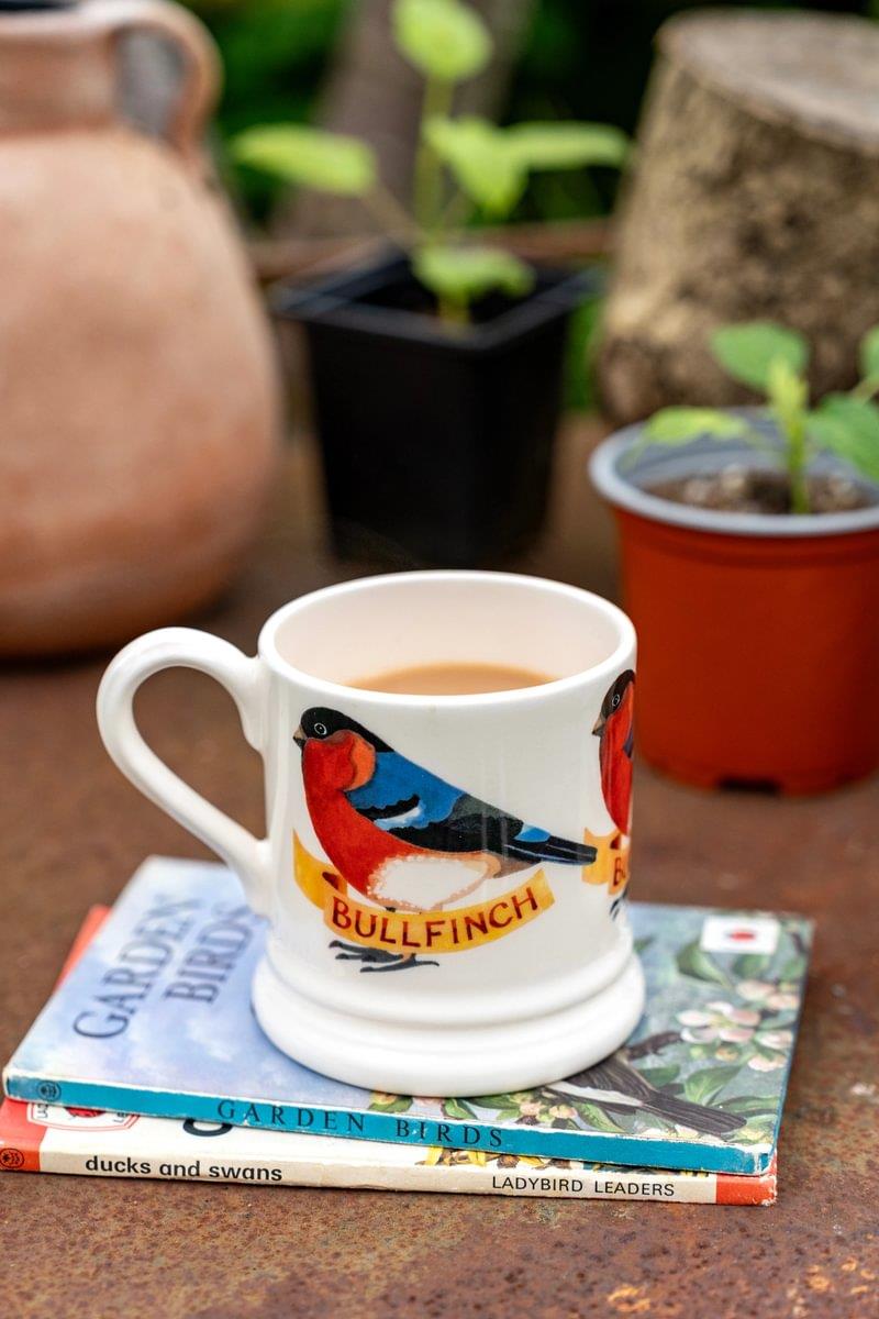 Emma Bridgewater - Half Pint Mug (300ml/1/2pt) - 9.3x8.2cms - Birds - Bullfinch