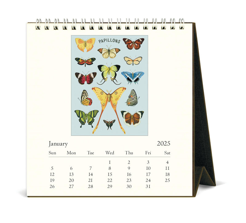 Cavallini - 2025 Desk Calendar - 6 x 6.5ins - Butterflies/Les Papillons