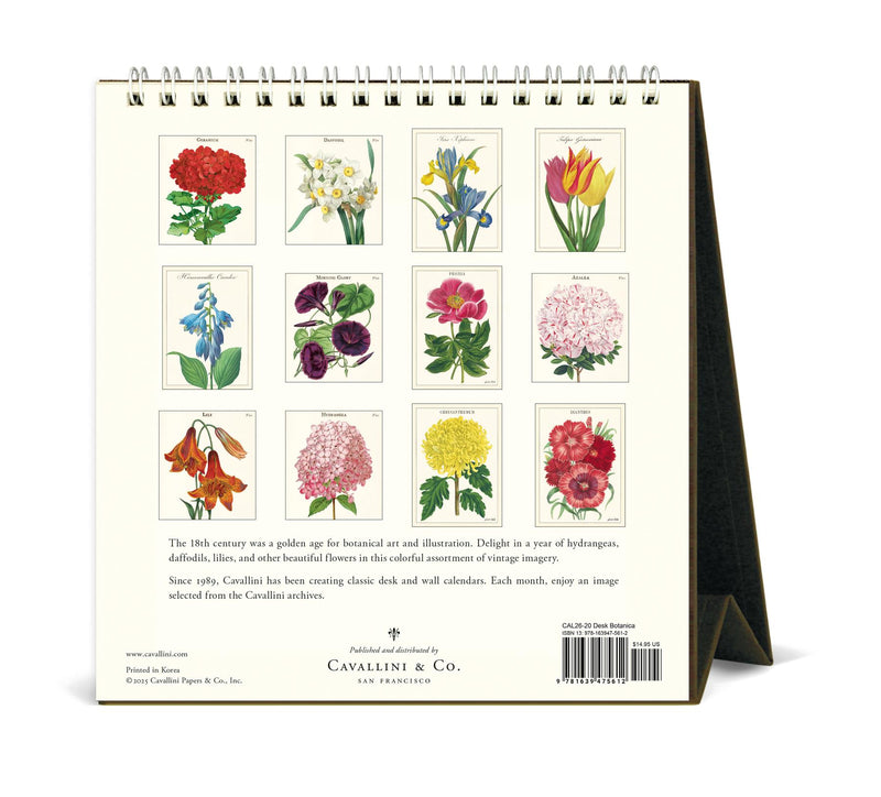 Cavallini - 2026 Desk Calendar - 6 x 6.5ins - Botanica/Peony